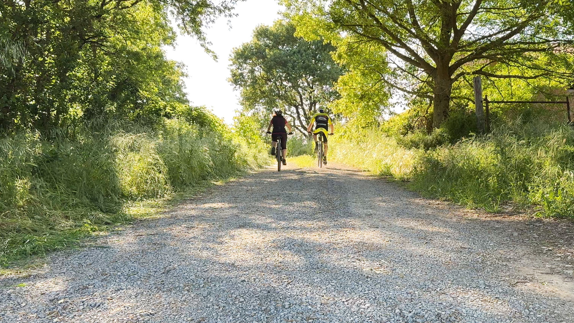 Bike ride