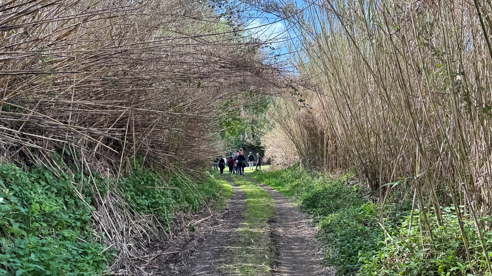 Walk from the hamlet to the lake